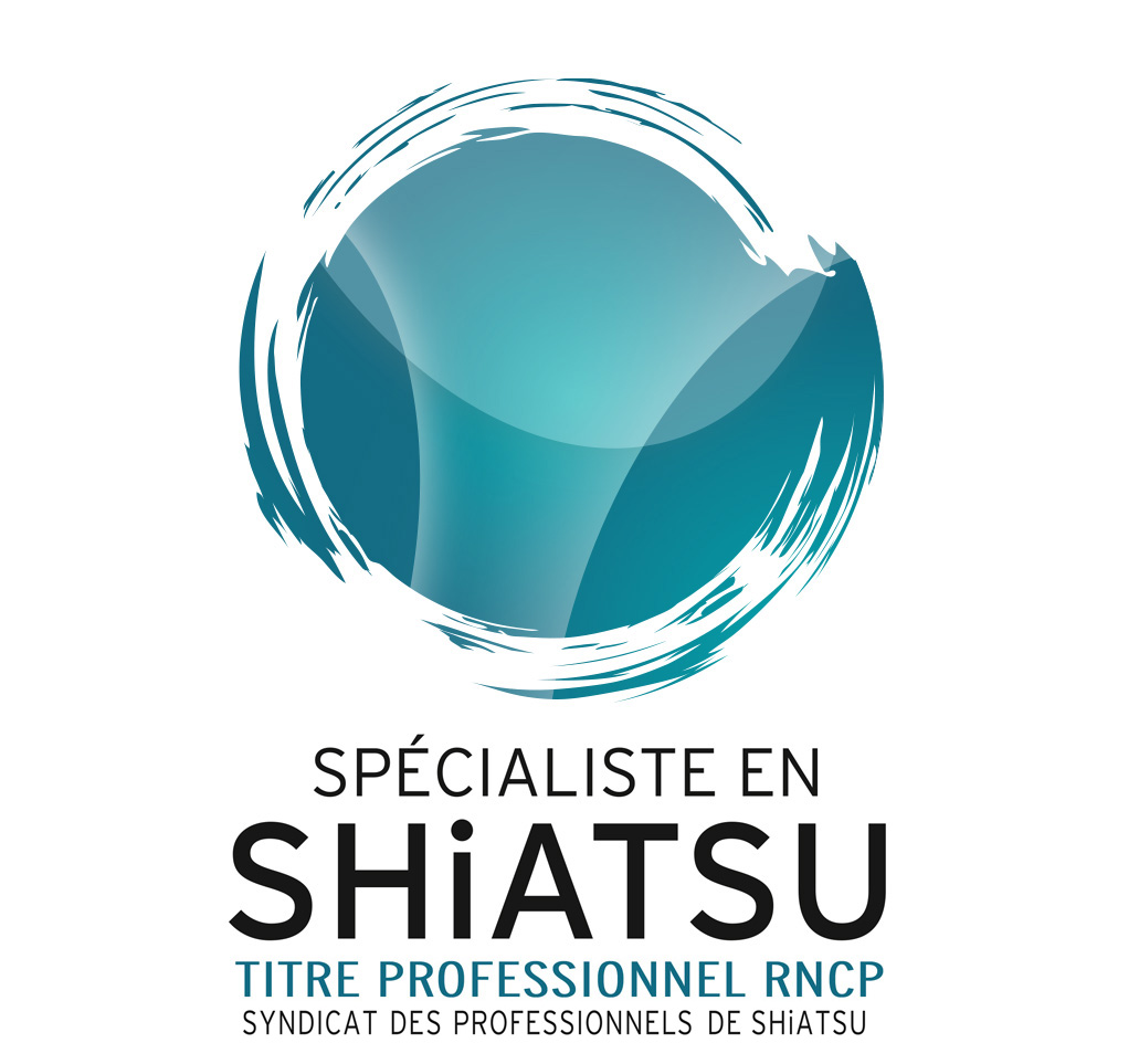 titre RNCP SCHWALLER Thierry